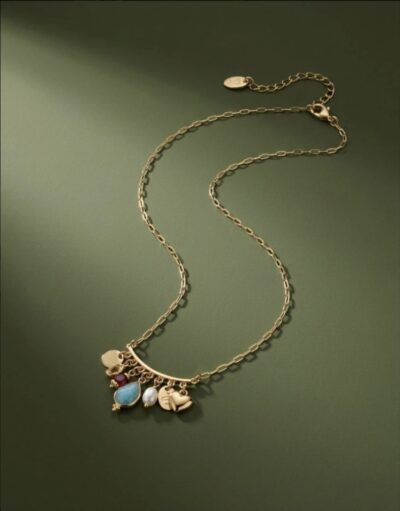 COLLAR CHARMS
