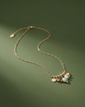 COLLAR CHARMS